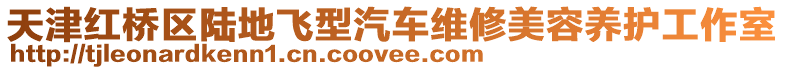 天津紅橋區陸地飛型汽車維修美容養護工作室