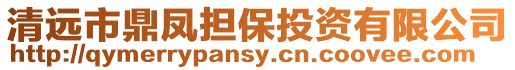 清遠市鼎鳳擔保投資有限公司