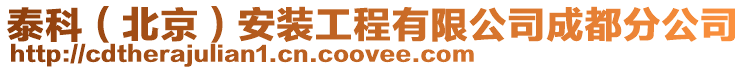 泰科(北京)安裝工程有限公司成都分公司