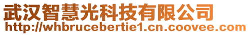 武漢智慧光科技有限公司