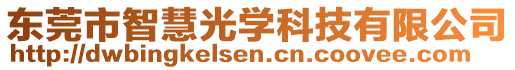 東莞市智慧光學(xué)科技有限公司