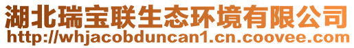 湖北瑞寶聯(lián)生態(tài)環(huán)境有限公司