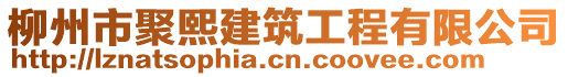 柳州市聚熙建筑工程有限公司