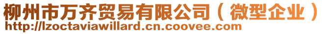 柳州市萬齊貿(mào)易有限公司（微型企業(yè)）