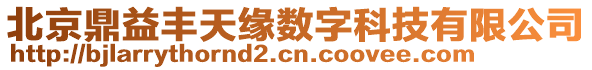 北京鼎益豐天緣數(shù)字科技有限公司