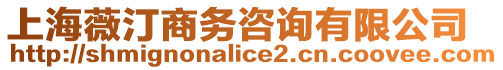 上海薇汀商務(wù)咨詢(xún)有限公司