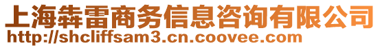 上海犇雷商務(wù)信息咨詢有限公司