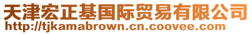 天津宏正基國際貿易有限公司