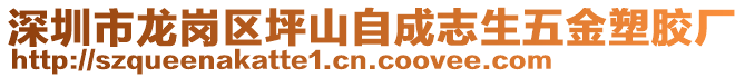 深圳市龍崗區(qū)坪山自成志生五金塑膠廠