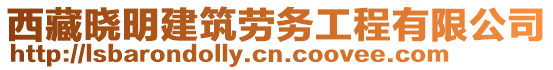 西藏曉明建筑勞務(wù)工程有限公司