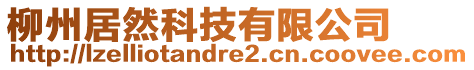 柳州居然科技有限公司