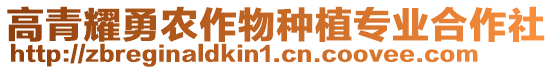 高青耀勇農(nóng)作物種植專業(yè)合作社