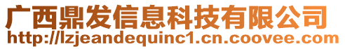 廣西鼎發(fā)信息科技有限公司