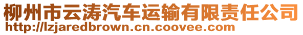 柳州市云濤汽車運輸有限責任公司