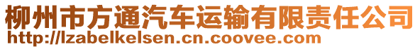 柳州市方通汽車運輸有限責任公司