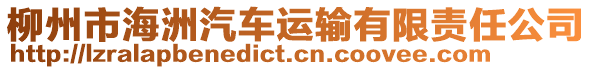 柳州市海洲汽車運輸有限責(zé)任公司