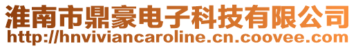 淮南市鼎豪電子科技有限公司