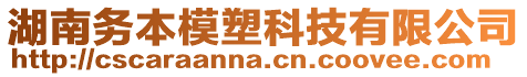 湖南務本模塑科技有限公司