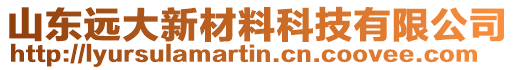 山東遠(yuǎn)大新材料科技有限公司