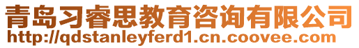 青島習睿思教育咨詢有限公司