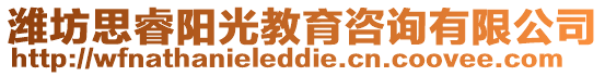 濰坊思睿陽(yáng)光教育咨詢有限公司