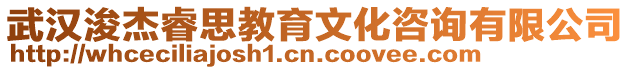 武漢浚杰睿思教育文化咨詢有限公司
