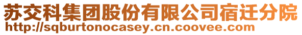 蘇交科集團股份有限公司宿遷分院
