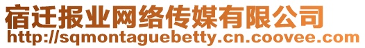 宿遷報(bào)業(yè)網(wǎng)絡(luò)傳媒有限公司