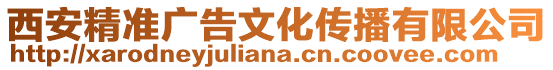 西安精準廣告文化傳播有限公司