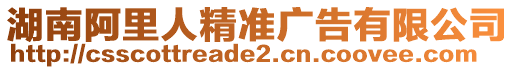 湖南阿里人精準(zhǔn)廣告有限公司