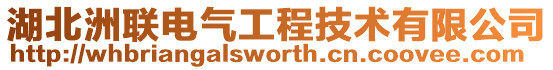 湖北洲聯電氣工程技術有限公司