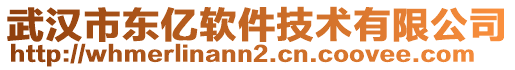 武漢市東億軟件技術(shù)有限公司