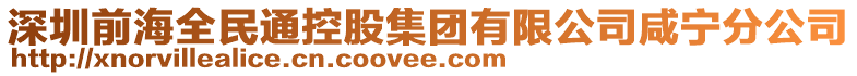 深圳前海全民通控股集團(tuán)有限公司咸寧分公司