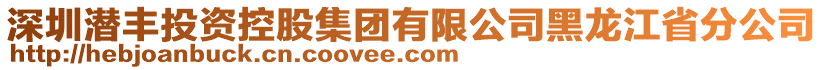 深圳潛豐投資控股集團有限公司黑龍江省分公司