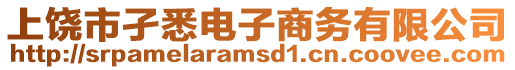 上饒市孑悉電子商務(wù)有限公司