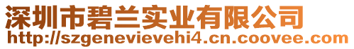 深圳市碧蘭實(shí)業(yè)有限公司