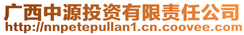 廣西中源投資有限責任公司