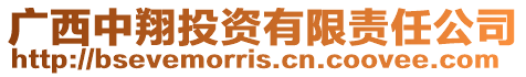 廣西中翔投資有限責任公司