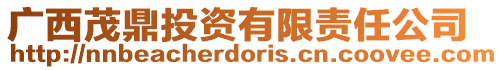 廣西茂鼎投資有限責(zé)任公司