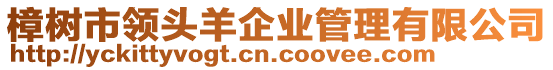 樟樹市領頭羊企業管理有限公司