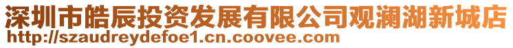 深圳市皓辰投資發展有限公司觀瀾湖新城店