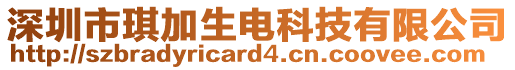深圳市琪加生電科技有限公司