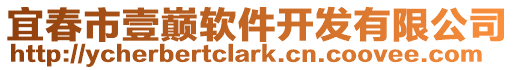 宜春市壹巔軟件開發有限公司