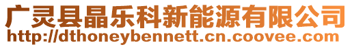 廣靈縣晶樂科新能源有限公司