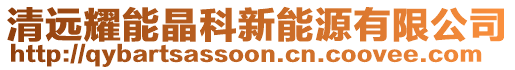 清遠耀能晶科新能源有限公司
