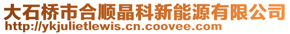大石橋市合順晶科新能源有限公司