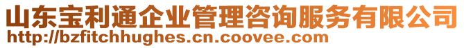 山東寶利通企業管理咨詢服務有限公司
