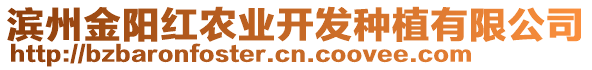 濱州金陽紅農(nóng)業(yè)開發(fā)種植有限公司