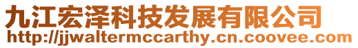 九江宏澤科技發展有限公司