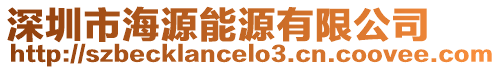 深圳市海源能源有限公司